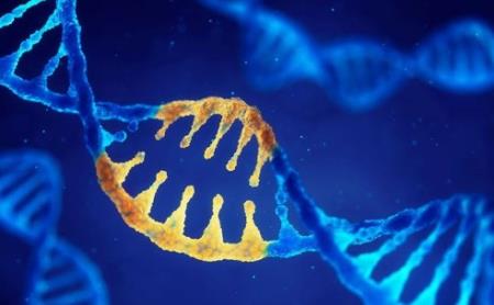 Phân loại gen mới được phát triển xác định nguy cơ tiến triển tiền ung thư vú