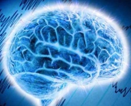 Sự khác biệt giữa bộ não của các loài linh trưởng