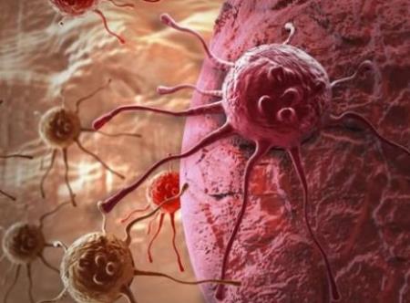 Thay đổi chế độ ăn uống giúp điều trị ung thư hiệu qủa hơn