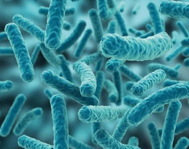 Một vũ khí mới chống lại vi khuẩn kháng thuốc kháng sinh