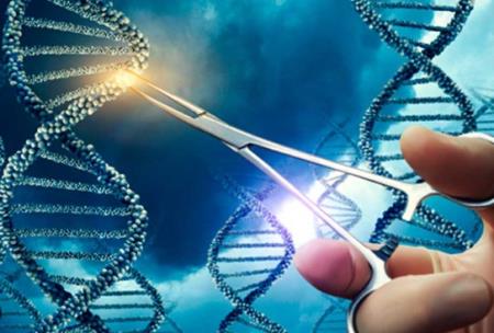 CRISPR: Cách tinh chỉnh khả năng bám của protein Cas trên DNA
