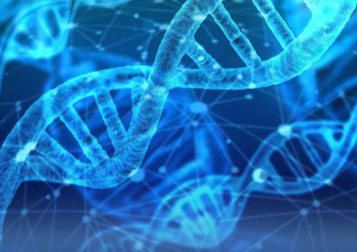 Tổn thương đối với DNA của người cha được truyền lại cho con cái