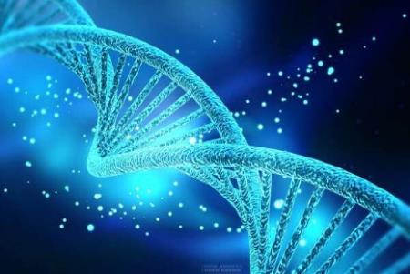 Lỗ hổng di truyền đối với ADHD báo hiệu nguy cơ mắc bệnh Alzheimer khi về già