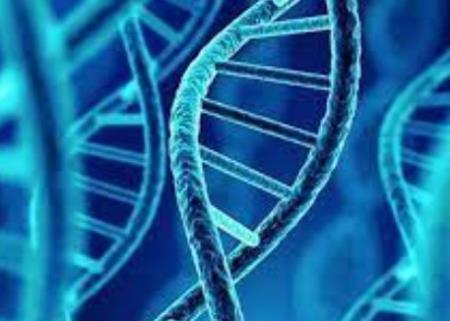 Bằng chứng về sự chuyển gen ngang giữa hệ vi sinh vật của mẹ người và hệ vi sinh vật đường ruột của trẻ sơ sinh