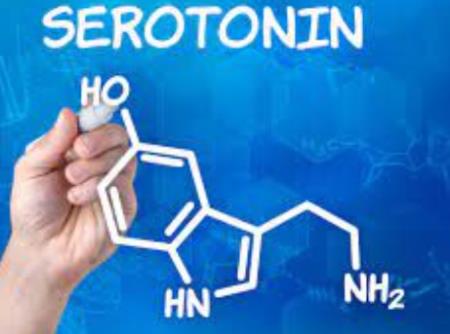 Hỗ trợ mới cho sự thiếu hụt serotonin trong trầm cảm