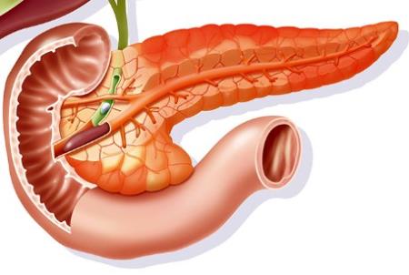 Nghiên cứu cho thấy hứa hẹn về thuốc chống KRAS mới cho bệnh ung thư tuyến tụy