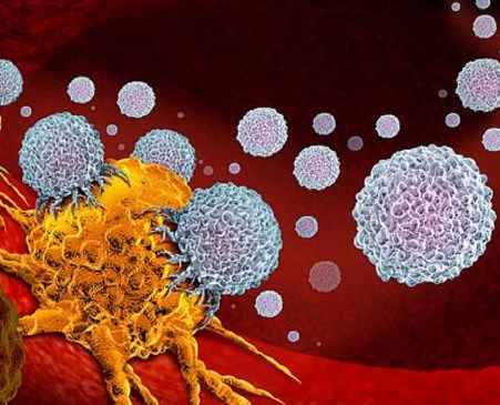 Tác nhân chống ung thư PAC-1: trong các thử nghiệm lâm sàng ở người cho thấy nhiều hứa hẹn