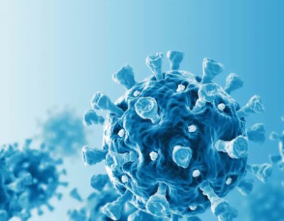 Kháng thể tự nhiên có thể tồn tại gần 2 năm sau khi khỏi Covid-19