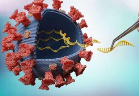 Cách nào các tế bào NK phản ứng với virus COVID-19