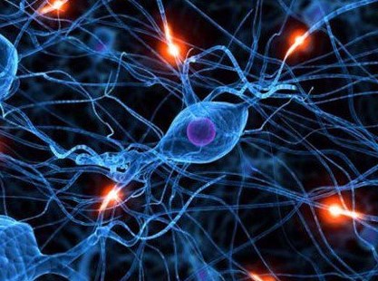 Hy vọng mới cho bệnh nhân xơ cứng teo cơ một bên (ALS); và sa sút trí tuệ (FTD)