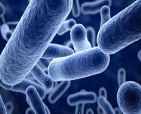 Bệnh tim gây ra những xáo trộn lớn trong hệ vi sinh vật đường ruột