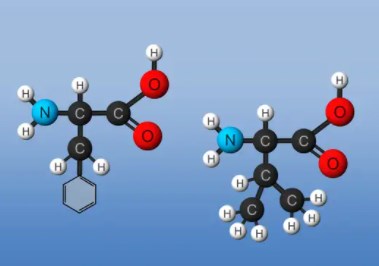Phát hiện hiếm hoi về chức năng của protein phổ biến đối với vi khuẩn và con người