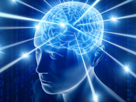 Các nhà nghiên cứu khám phá cách bộ não con người phân tách, lưu trữ và truy xuất ký ức