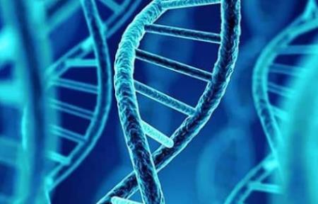 Các nhà khoa học tạo ra bước tiến nhảy vọt về giải trình tự gen