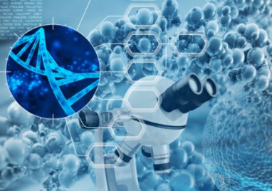 Các nhà nghiên cứu kỹ thuật phát triển các hạt nano xốp cho y học tái tạo