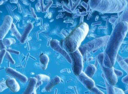 Khám phá trí nhớ miễn dịch bẩm sinh trong ruột