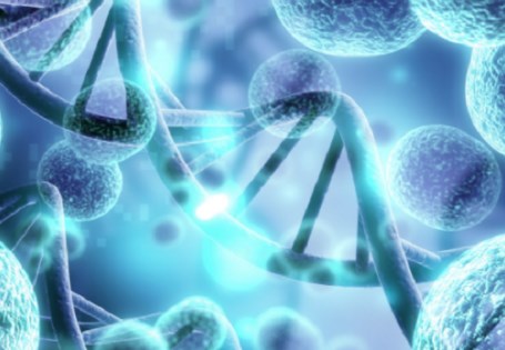 Liệu pháp trẻ hóa tế bào đảo ngược một cách an toàn các dấu hiệu lão hóa ở chuột