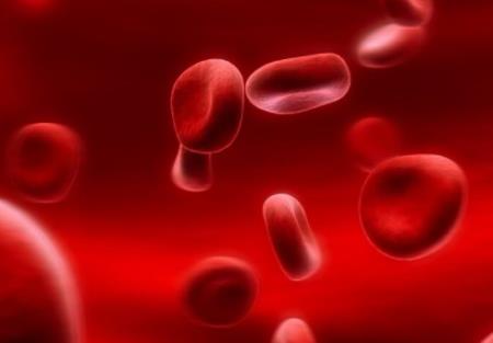 Thuốc Pyrukynd cho bệnh thiếu máu tan máu ở người lớn bị thiếu hụt Pyruvate Kinase