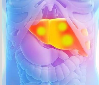Kisspeptin: Thuốc mới điều trị bệnh gan?