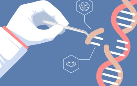 CRISPR và HIV: Kỹ thuật mới trong máu người tiết lộ những con đường tiềm năng để chữa khỏi bệnh