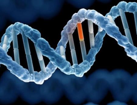 Gen có thể ảnh hưởng đến khả năng hấp thu chất dinh dưỡng của chúng ta