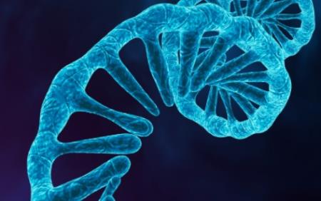 Micro RNA hạt nhân mới đang được phát triển để điều trị bệnh tim mạch