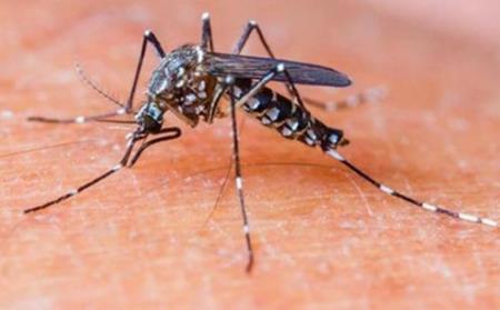 Bộ chẩn đoán Cygnus sử dụng kết hợp với điện thoại thông minh cho bệnh Sốt xuất huyết