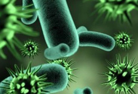 Mô hình mới cho cơ chế kháng khuẩn