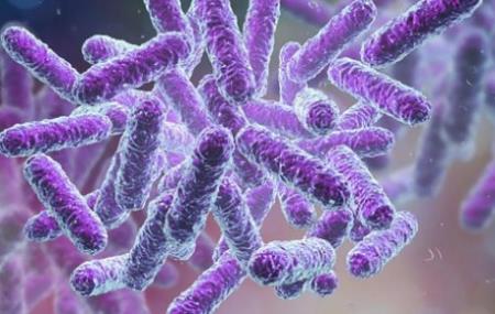 Hệ vi sinh vật đường ruột có thể thay đổi phản ứng với liệu pháp điều trị ung thư