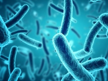 Dùng thuốc kháng sinh ảnh hưởng đến hệ vi sinh vật đường ruột của trẻ sơ sinh