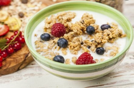 Một loại hormone duy nhất hướng phản ứng của cơ thể đối với chế độ ăn ít protein