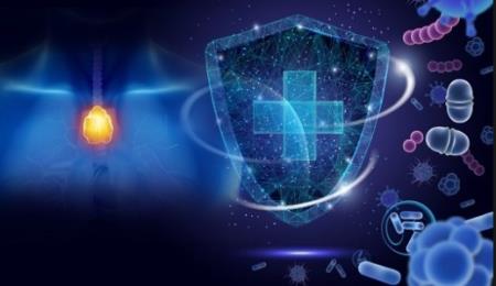 Điều chỉnh hệ thống miễn dịch của cơ thể để giúp điều trị bệnh tiểu đường loại 1