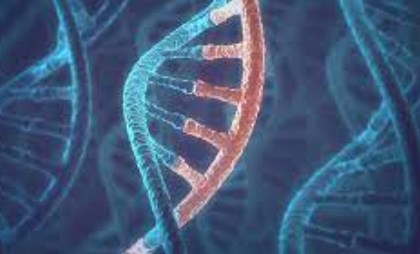 Tế bào thần kinh: Cách các hạt RNA phát triển và thu nhỏ