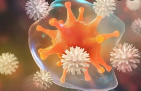 Các nhà khoa học khám phá cách tế bào miễn dịch T phân chia