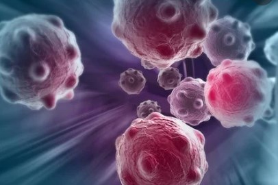 Phá vỡ lá chắn bảo vệ ung thư tuyến tụy khỏi liệu pháp miễn dịch