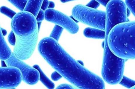 Vi khuẩn đường ruột có thể làm cho thuốc huyết áp kém hiệu quả hơn