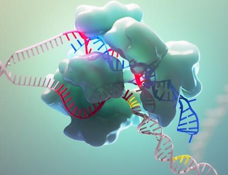 Phương pháp chỉnh sửa gen CRISPR-Cas9 có thể thay đổi hành vi xã hội của động vật
