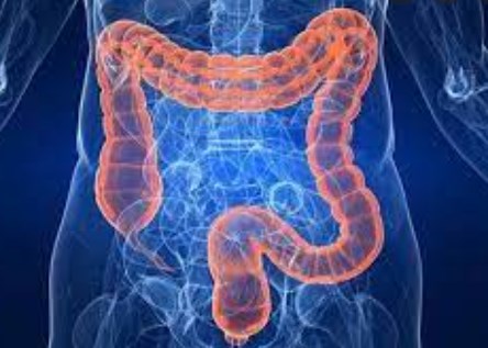 Nghiên cứu về điều trị ung thư trực tràng bằng dostarlimab