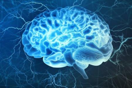 Mạch não trong đồi thị giúp chúng ta lưu giữ thông tin trong tâm trí