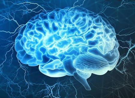 Cách bộ não kiểm soát các triệu chứng bệnh tật