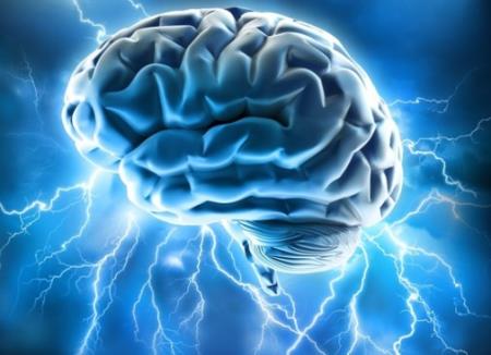 Các nhà khoa học làm sáng tỏ bí ẩn về gen then chốt cho sự phát triển của não bộ