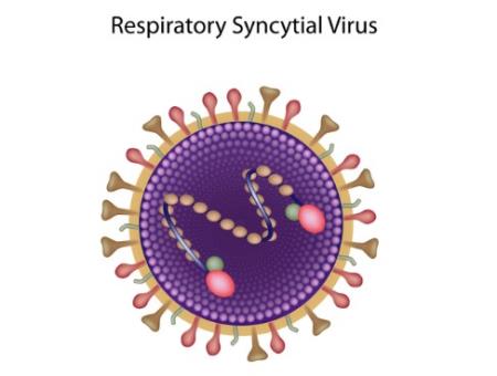 Thuốc kháng vi-rút đường uống có hiệu quả chống lại vi-rút hợp bào hô hấp (RSV)