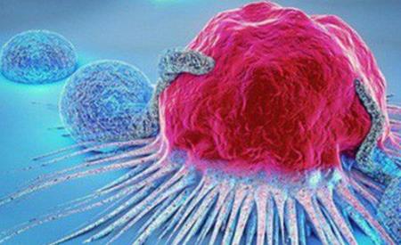 Phương pháp mới ngăn chặn sự đề kháng của khối u với các liệu pháp điều trị ung thư