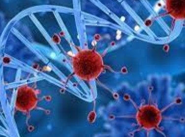 Các nhà khoa học phát hiện ra phân tử mới tiêu diệt ung thư khó chữa