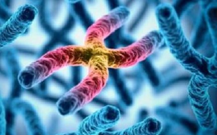 Cứ 500 người đàn ông thì có một người mang thêm nhiễm sắc thể giới tính, khiến nguy cơ mắc một số bệnh cao hơn