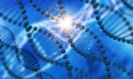 DNA 'rác' có thể dẫn đến ung thư bằng cách ngừng sao chép DNA