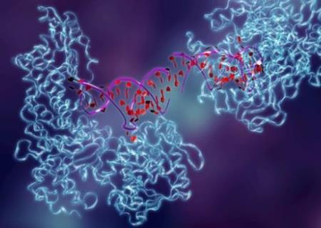 Thay đổi quan điểm về nguồn gốc của sức mạnh xúc tác của enzym