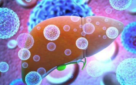 Các nhà khoa học khám phá ra chìa khóa cho sự nhân lên của virus viêm gan A