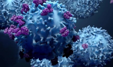 Hệ thống miễn dịch sử dụng xác minh hai bước để bảo vệ chống lại HIV