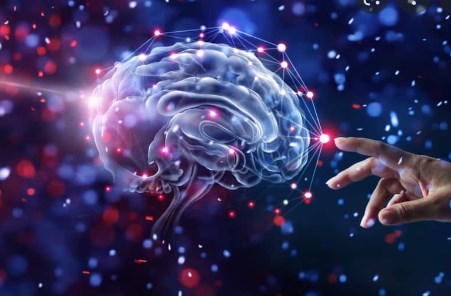 Bảo vệ não khỏi chứng sa sút trí tuệ gây ra các tập hợp protein bất thường